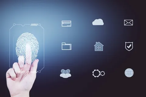 Fingerprint biometric security scan